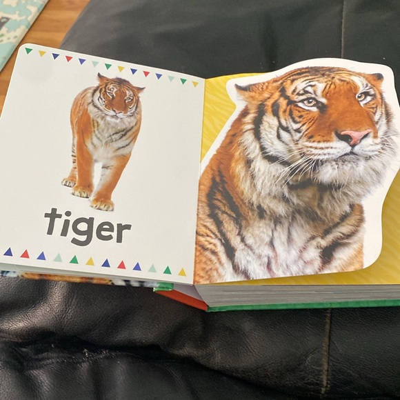 My Big Book of Animals. April 2003 First Edition - Picture 6 of 7